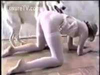 Animal XXX Tube - Vintage wife is mounted by her loyal dog